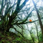 摩天轮社区你懂得 04mxlg