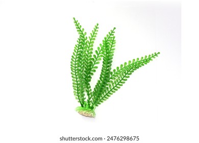 秀美眉秀人网 秀美眉秀人网